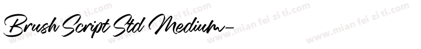 Brush Script Std Medium字体转换
